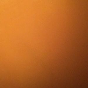 Meet your Posher, Lilah